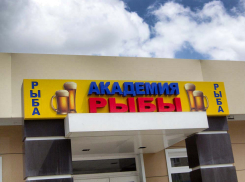 Почему в Камышине «Академия рыбы» рекламирует пиво?