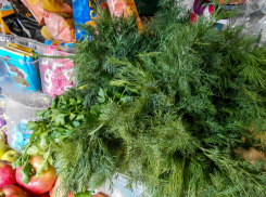 Роспотребнадзор рассказал камышанам, что им есть, чтобы «напитаться» весной витамином С