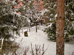 Камышанам в сегодняшний понедельник обещан небольшой снег