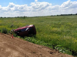 В Котовском районе на пустой проселочной дороге водитель улетел в кювет и скончался на месте