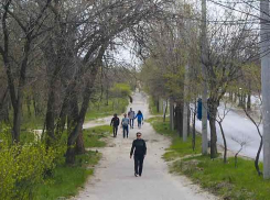 Новый день не принес жителям Волгоградской области и камышанам хорошей статистики по COVID - число инфицированных близко к 300