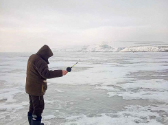 Серый день с небольшим морозом: погода в Камышине на 4 февраля