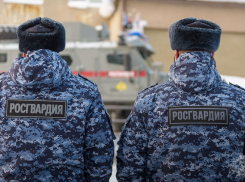 В Камышине росгвардейцы задержали молодого, но дерзкого серийного вора