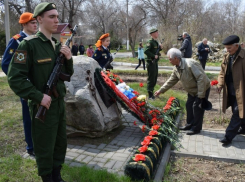 В Камышине к памятному камню жертвам радиационных катастроф легли живые цветы, прозвучали залпы салюта...