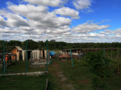 На поиски пропавшей 16-летней девочки направили кинологов с собаками и дополнительные силы полиции, - «Блокнот Волгограда»