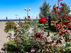 Прохлада осенняя, а солнце летнее: погода в Камышине в последний день сентября