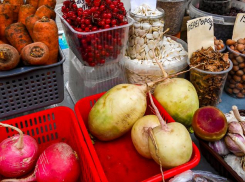 Почему специалисты Роспотребнадзора «агитируют» камышан за редьку