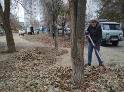В Камышине бригады «Чистого двора» активно убирают упавшую листву, чтобы кострами не «душить» аллергиков