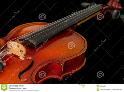 Наивной камышанке объявление о продаже скрипки чуть не аукнулось историей стоимостью «скрипки Страдивари»