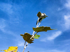 Хорошую порцию солнца заготовила природа для камышан на праздничные и выходные дни