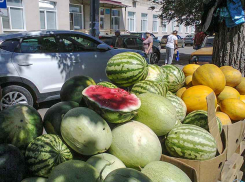 В Камышине начался сезон найма горожан на погрузку арбузов и дынь