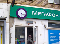 «Мегафон», ну вы же хорошо зарабатываете, подремонтируйте фасад! - камышанка