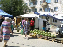 Коронавирус не отступает в Волгоградской области: за сутки 93 зараженных и новый летальный исход
