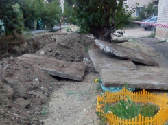 В Камышине «копатели»-коммунальщики завалили плитами зеленые уголки во дворе