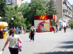 Голоса камышан на выборах в городскую думу обещают подсчитать с помощью супертехнологий