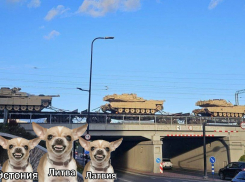 Танки НАТО едут на Псков: в Эстонии накапливается бронетехника альянса, - «Блокнот - Россия»