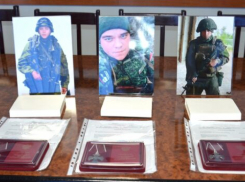 «Последний бой - он трудный самый»: в администрации Камышинского района передали ордена погибших героев СВО их родным