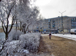 Небольшой «минус» и изморозь сохранятся в Камышине в начале недели
