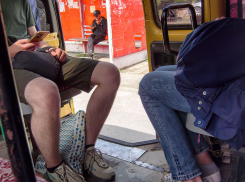 В Камышине с 1 октября власти «замахнулись» сделать дороже поездку в муниципальных автобусах, за ними «подтянутся» и маршрутки