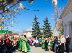  В Никольском соборе Камышина в Вербное воскресенье прошла праздничная служба (ВИДЕО)