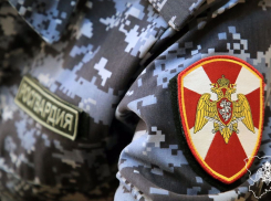 В Камышине росгвардейцы задержали циничного похитителя, угрожавшего расправой хозяевам частного домовладения