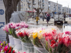 Проливным дождем со снегом началось утро 8 марта в Камышине