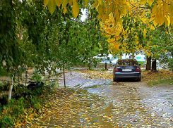 Камышанам предстоят два сырых и пасмурных дня, но к выходным потеплеет