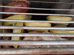 Камышане утверждают в соцсетях, что в школе №16 Камышина продукты, которыми кормят детей, хранятся у грязного продуха