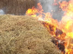 В Камышине сгорела еда для небольшого стада коров - 150 тонн сена