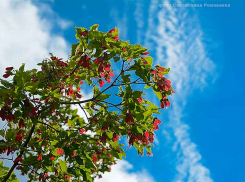 Появились подробности о 35-м скончавшемся в Волгоградской области, чью жизнь забрал коронавирус