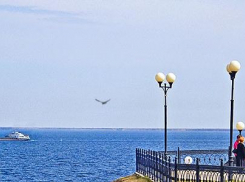 Камышинский паром между берегами Волги теперь курсирует чаще