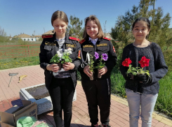 В Камышинском районе шестиклассники и семиклассники высадили особую клумбу у сельского памятника погибшим землякам  - цвета российского триколора