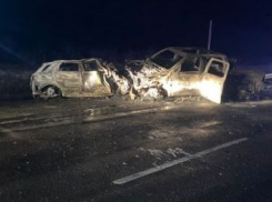 Два тела обнаружили медики на месте страшного удара автомобилей на трассе между Камышином и Волгоградом