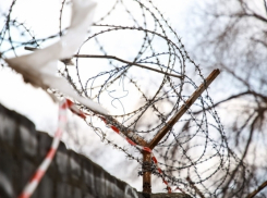 ФСИН проводит проверку после появления видео с избиением заключенного (ВИДЕО)