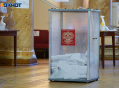 «Единая Россия» объявила победителей праймериз в Камышине перед выборами в Облдуму: лидируют Наталья Данилова и Дмитрий Крикунов