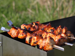 С 1 апреля для камышан наступает запрет на шашлыки на природе