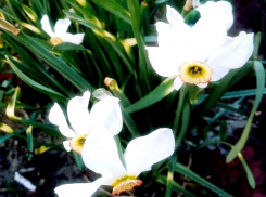 В Камышине в воскресенье +29 и ни облачка!