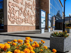 В Камышине начались дожди, но пока теплые