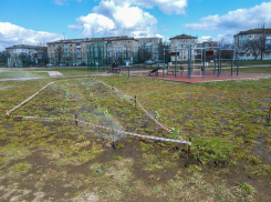 В Камышине пометили сигнальной лентой территории будущих рощ в парке Текстильщиков