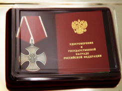 Награду героя СВО Сергея Шеина передали его сыну в Камышине