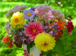 В Камышине продолжается лето