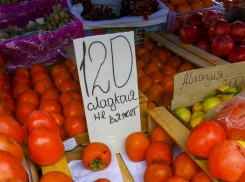 В Камышине подешевели хурма и мандарины (ВИДЕО)