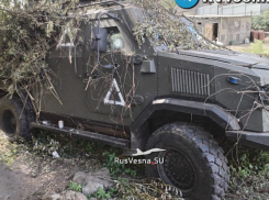 «Новое наступление ВСУ»: что происходит в оккупированной ВСУ Курской области 1 ноября