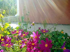 В Камышине наступили свежие сентябрьские дни