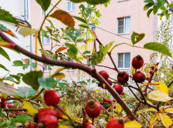 В пятницу 21 ноября камышинские коммунальщики решили «обойтись» небольшими отключениями