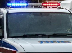 В райцентре Быково в Волгоградской области подрались две девицы, одна из них учится в Камышине в «секретном» колледже