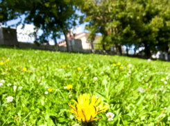 В Камышине продолжается лето: погодная повестка на 26 сентября