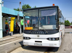 Как Камышин вдруг назвали городом высокого интеллекта