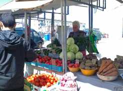 Волгоградская область получит федеральные деньги на «поддержку штанов», - ИА «Высота 102»