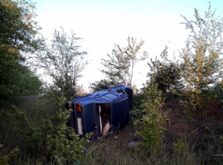 Котовский водитель перевернул под Камышином иномарку, ранены двое школьниц